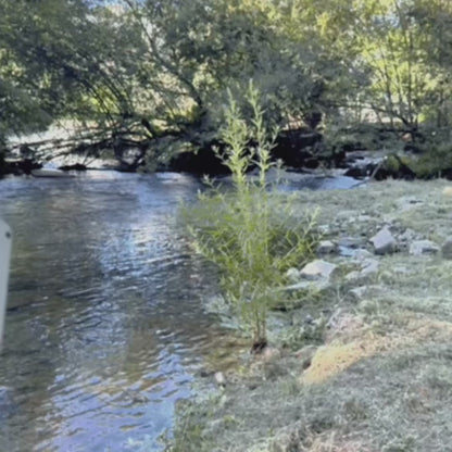 FishCam™  - Kamerka wędkarska